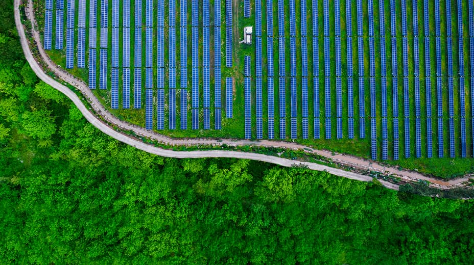 sustainable-investing-certificate-section