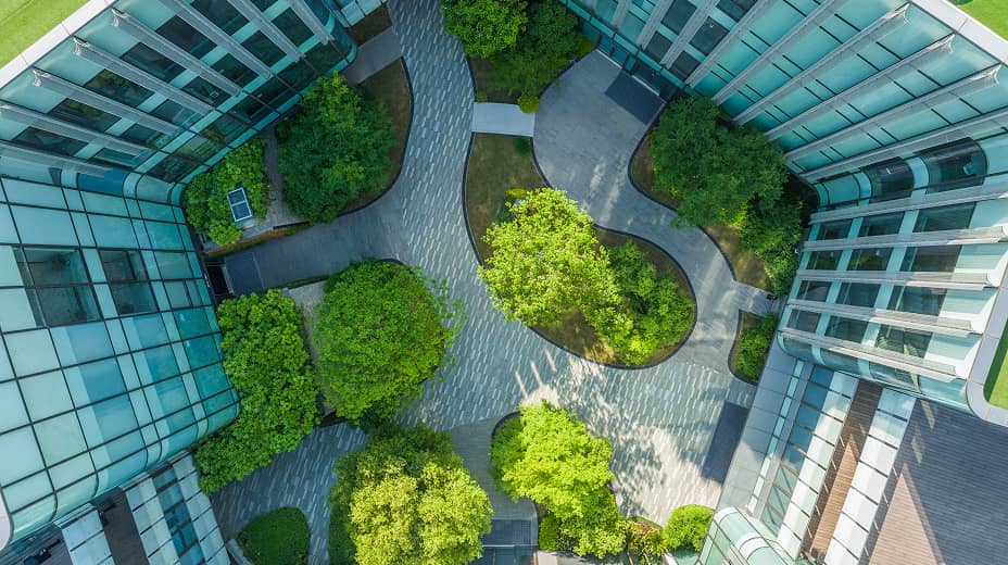 sustainable-investing-foundation-cn-section