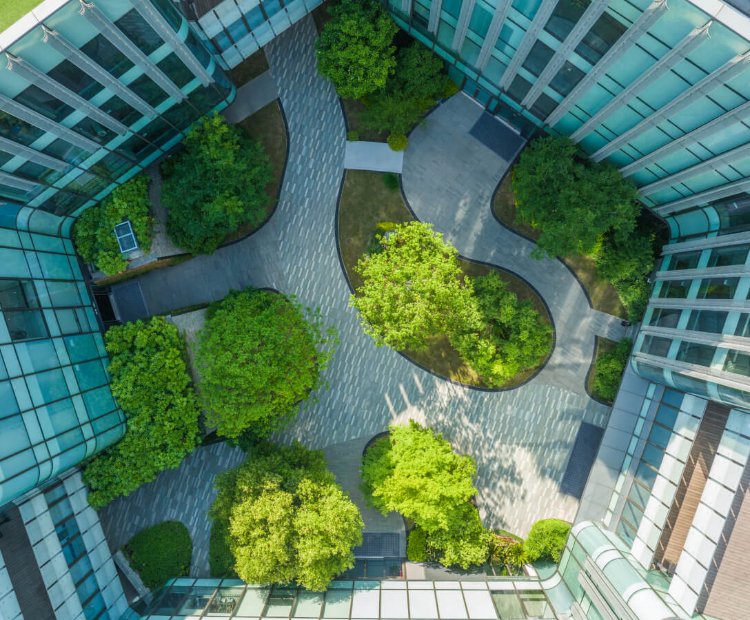 Identity Verification 身份信息核对